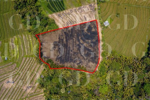 Land in Beraban, Kediri, Tabanan, Bali (15629)