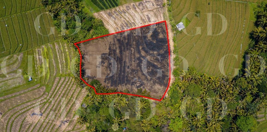 Land in Beraban, Kediri, Tabanan, Bali (15629)