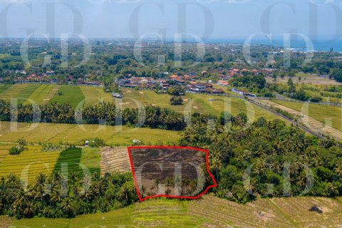 Land in Beraban, Kediri, Tabanan, Bali (15629) 3