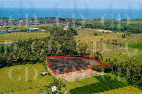 Land in Beraban, Kediri, Tabanan, Bali (15629) 2