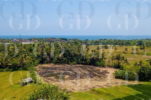 Land in Beraban, Kediri, Tabanan, Bali (15629) 7