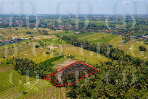 Land in Beraban, Kediri, Tabanan, Bali (15629) 4