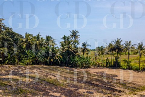 Land in Beraban, Kediri, Tabanan, Bali (15629) 6