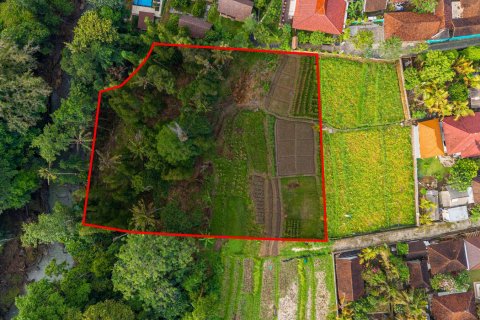 Land in Nyambu, Kediri, Tabanan, Bali (15619) 7
