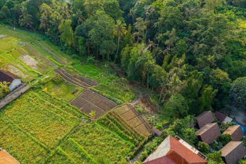 Land in Nyambu, Kediri, Tabanan, Bali (15619) 10