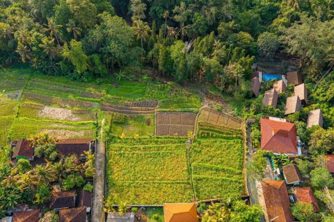 Land in Nyambu, Kediri, Tabanan, Bali (15619) 12