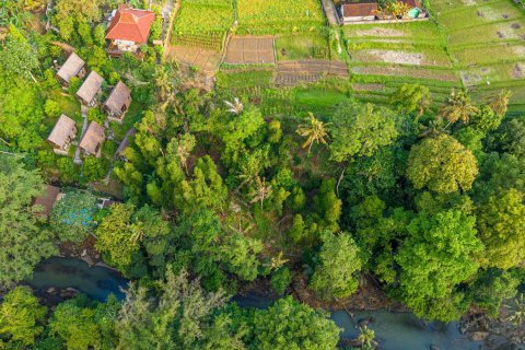 Land in Nyambu, Kediri, Tabanan, Bali (15619) 9