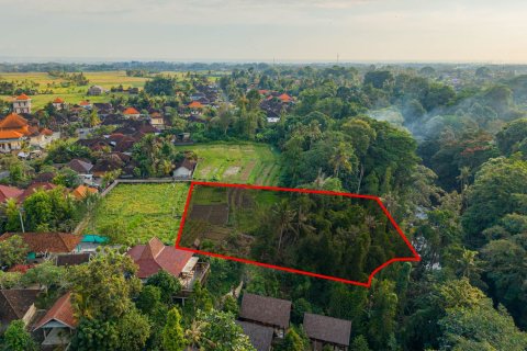 Land in Nyambu, Kediri, Tabanan, Bali (15619)