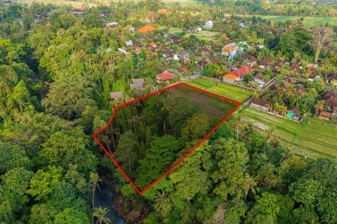 Land in Nyambu, Kediri, Tabanan, Bali (15619) 5