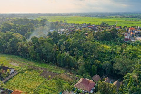 Land in Nyambu, Kediri, Tabanan, Bali (15619) 11