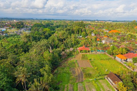 Land in Nyambu, Kediri, Tabanan, Bali (15619) 16