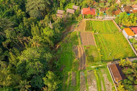 Land in Nyambu, Kediri, Tabanan, Bali (15619) 15