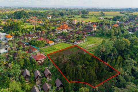 Land in Nyambu, Kediri, Tabanan, Bali (15619) 3