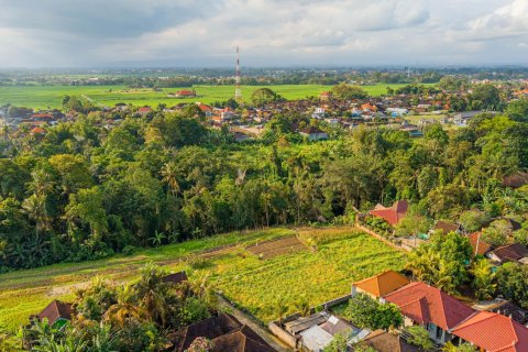 Land in Nyambu, Kediri, Tabanan, Bali (15619) 14
