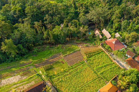 Land in Nyambu, Kediri, Tabanan, Bali (15619) 13