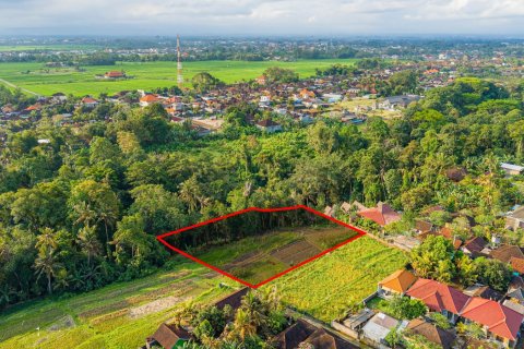 Land in Nyambu, Kediri, Tabanan, Bali (15619) 6