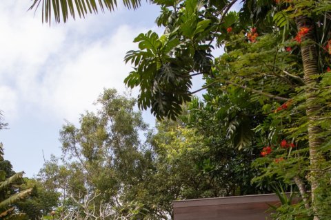 5 bedrooms Villa in Pecatu, Badung, Bali (15618) 27