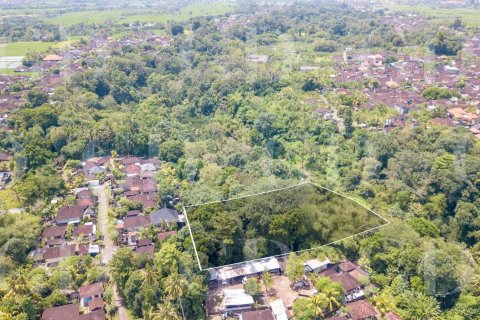 Land in Kaba-Kaba, Kediri, Tabanan, Bali (4476) 5