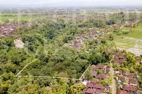 Land in Kaba-Kaba, Kediri, Tabanan, Bali (4476) 3