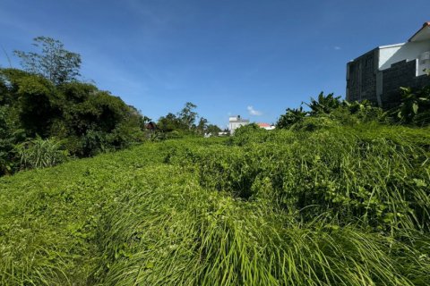 Land in Denpasar, Bali (11880)