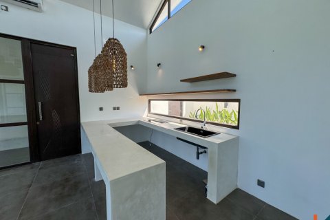 2 bedrooms Villa in Ubud, Gianyar, Bali (11879) 4
