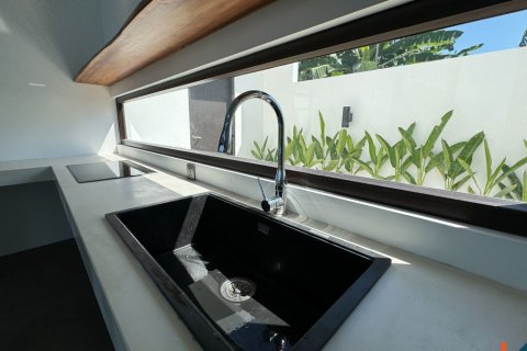 2 bedrooms Villa in Ubud, Gianyar, Bali (11879) 5