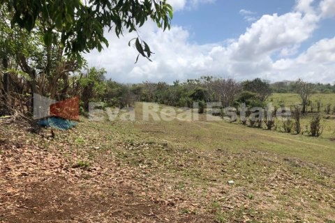 9300m2 Land in South Kuta, Badung, Bali (2497) 6