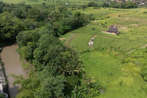 Земельный участок в Менгви, Бадунг,  (9459) 4