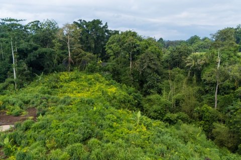 Земельный участок в Менгви, Бадунг,  (9458) 3