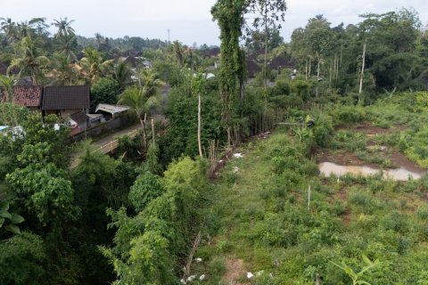 Земельный участок в Менгви, Бадунг,  (9458) 4