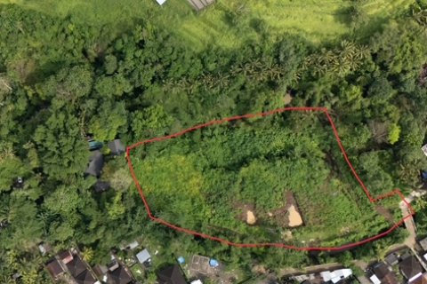 Земельный участок в Менгви, Бадунг,  (9458) 1