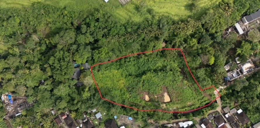 Земельный участок в Менгви, Бадунг,  (9458)