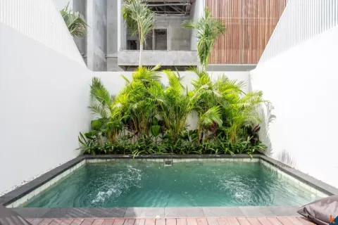 2 bedrooms Villa in Denpasar, Bali (11297) 3