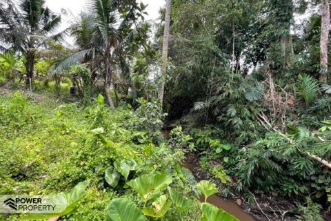 760m2 Land in Ubud, Gianyar, Bali (13969) 3