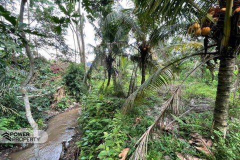 760m2 Land in Ubud, Gianyar, Bali (13969) 7