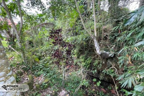 760m2 Land in Ubud, Gianyar, Bali (13969) 10