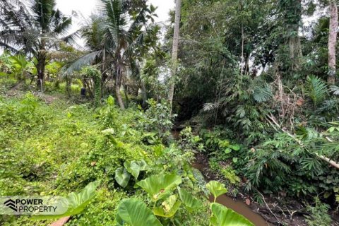 760m2 Land in Ubud, Gianyar, Bali (13969) 4
