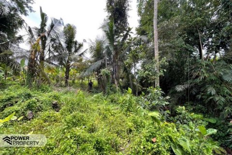 760m2 Land in Ubud, Gianyar, Bali (13969) 9