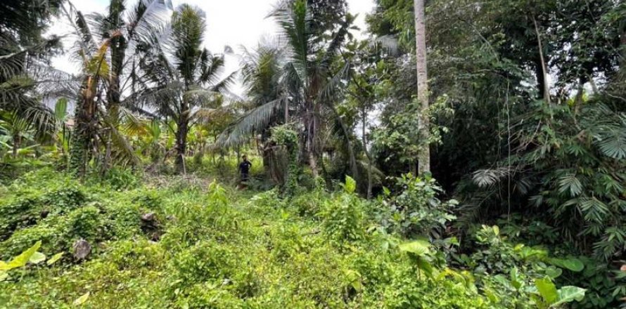 760m2 Land in Ubud, Gianyar, Bali (13969)
