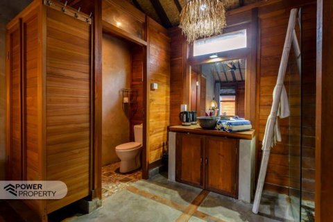1 bedroom Villa in Canggu, Badung, Bali (13974) 7