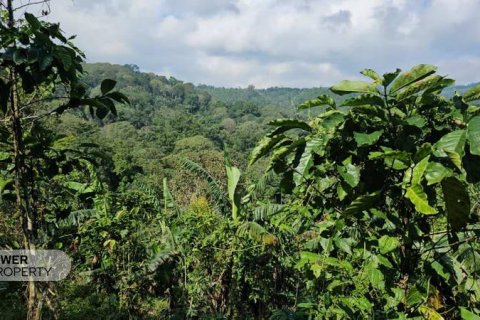 7475m2 Land in Lovina, Anturan, Buleleng, Bali (17092) 16