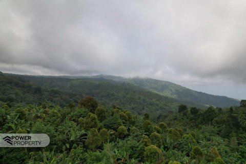 7475m2 Land in Lovina, Anturan, Buleleng, Bali (17092) 13