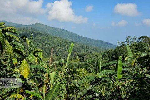7475m2 Land in Lovina, Anturan, Buleleng, Bali (17092) 4