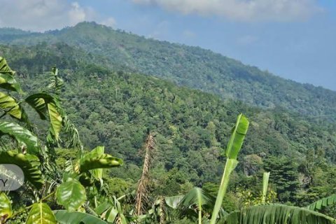 7475m2 Land in Lovina, Anturan, Buleleng, Bali (17092) 7