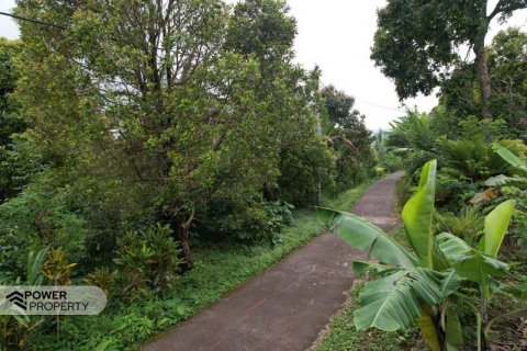 7475m2 Land in Lovina, Anturan, Buleleng, Bali (17092) 2