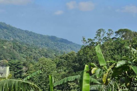 7475m2 Land in Lovina, Anturan, Buleleng, Bali (17092) 6