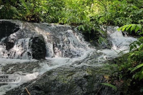7475m2 Land in Lovina, Anturan, Buleleng, Bali (17092) 11