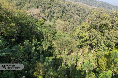 7475m2 Land in Lovina, Anturan, Buleleng, Bali (17092) 3