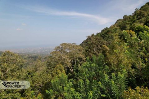 7475m2 Land in Lovina, Anturan, Buleleng, Bali (17092) 14