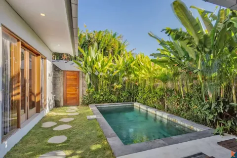 8 bedrooms Villa in Denpasar, Bali (17099) 2